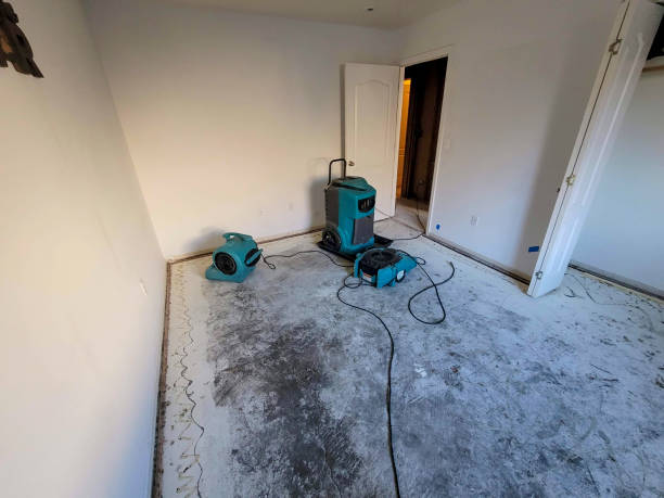 Water damage restoration insurance claims in Hoyt Lakes, MN
