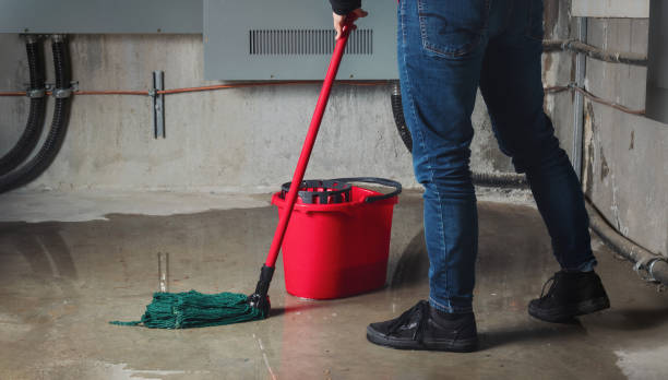 Best Carpet water damage restoration  in Hoyt Lakes, MN